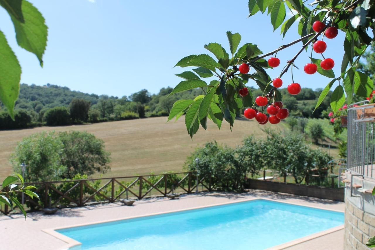 Macchiapiana Villa Scansano Exterior photo